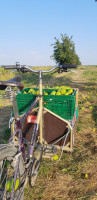 2*40kg selbt gesammelt auf selbstgebautem Lastenrad :) vergrößern