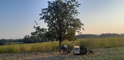 2024 Morgenstimmung in Nordsachsen vergrößern